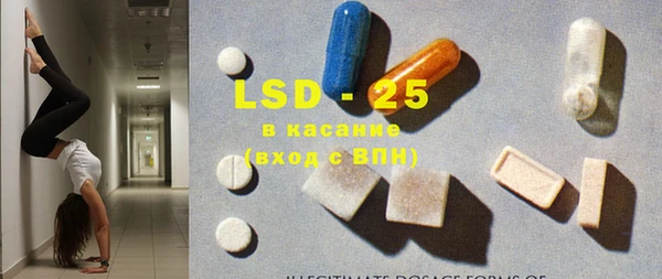 гашик Горняк