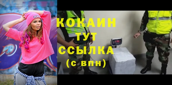 прущие грибы Заволжье