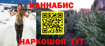 МДПВ Камышлов