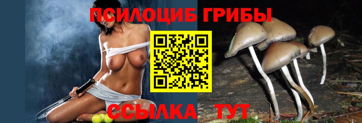 купить   Псилоцибиновые грибы мухоморы  Псилоцибиновые грибы GOLDEN TEACHER  Вход с VPN  Мурино 